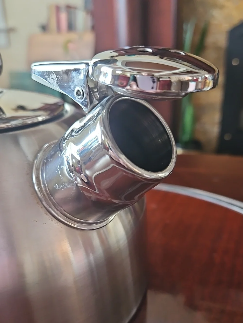 Chantal Classic Stainless Steel Tea Kettle with Hohner Harmonica Whistle & Mitt